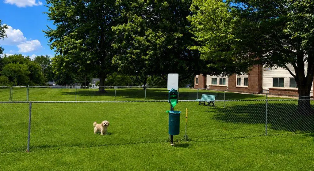 Fountain Place dog park