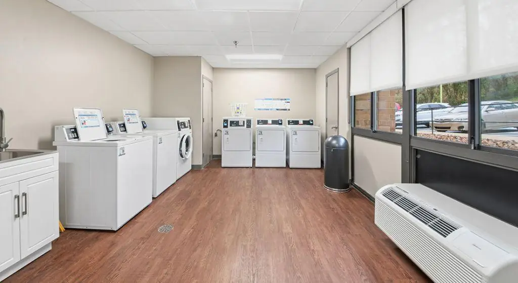 Tulipwood laundry